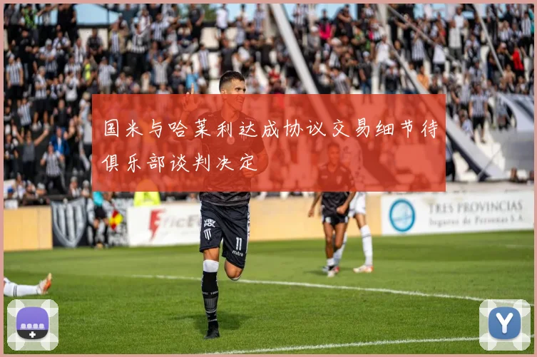 国米与哈莱利达成协议交易细节待俱乐部谈判决定